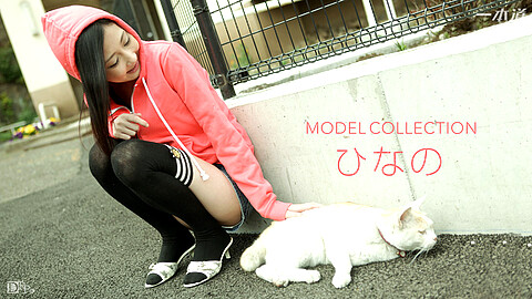 大沢ひなの Model Collection